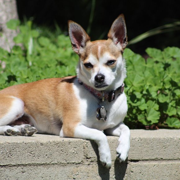 Meet your Posher, Lara - Picture 7 of 15